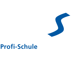 Profi-Schule im Deutschen Skilehrerverband